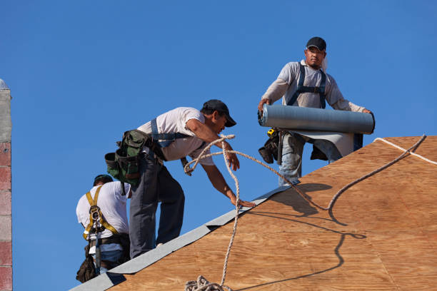 Best Roof Maintenance Services  in Richmond, KY